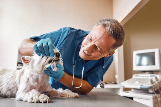 Best Emergency Wisdom Tooth Extraction in Pinehurst, TX